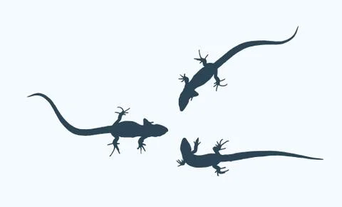 Silhouette of a lizard that creeps. Vector Illustration. Illustrazione stock