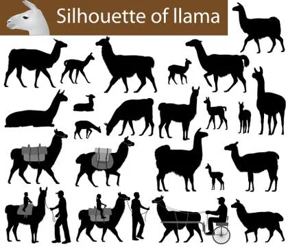 Silhouette of llama Stock Illustration