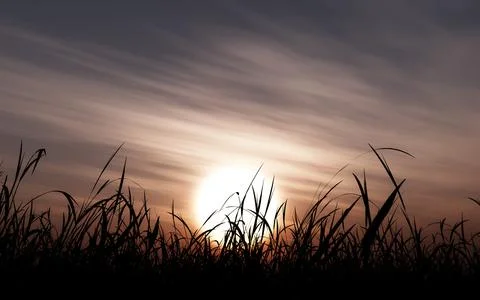 A silhouette with low angle shot of the grass under a beautiful cloudy sky in Illustrazione stock