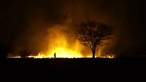 Silhouette of man and tree in a burning field. 库存影片 229449331