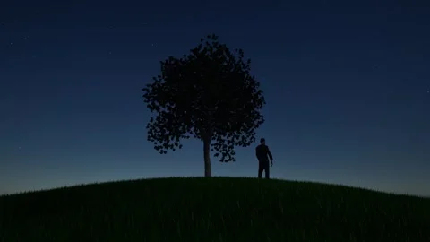 Silhouette of a man and a tree on a hill starry sky nature landscape Stock Footage 335459959