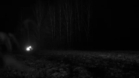 Silhouette of a man chased by light through the forest at winter night Stock Footage 81987488