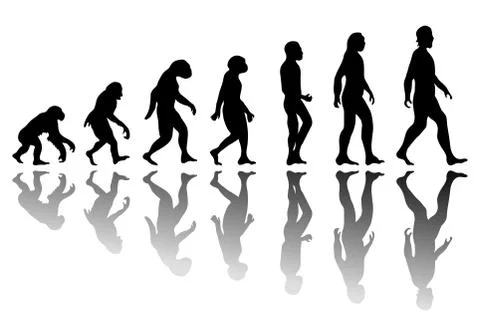 Silhouette man evolution Illustrazione stock