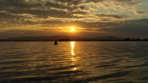 Silhouette of a man floating on a SUP board on a lake at sunset. Stock Footage 317252776