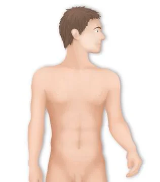 Silhouette of a man Stock Illustration