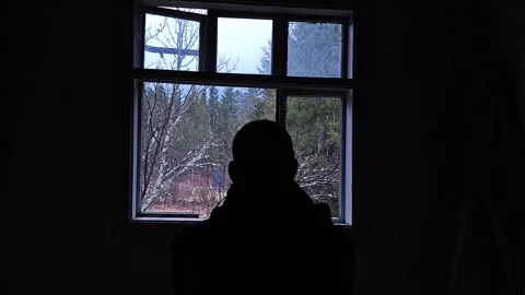 Silhouette of a Man Looking through Cabin Window at Misty Forest Stock Footage 335098924
