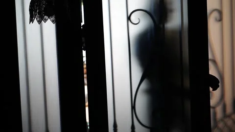 Silhouette of a man opening front door of beautiful home Stock Footage 223098433