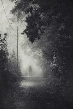 Silhouette of a man on path during fog Stock Photos