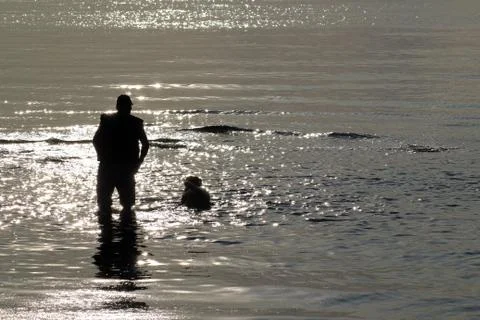 Silhouette of a man playing with his dog on the beach in sparkle water. Stock Photos