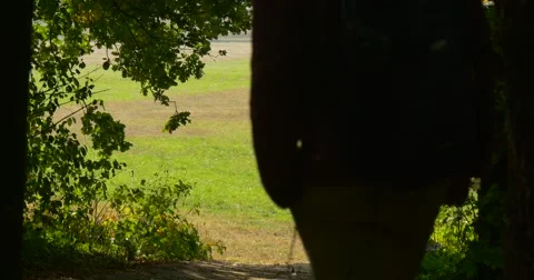 Silhouette Of The Man In The Shadows Of The Trees He Slowly Comes Down From The Stock Footage 56064091