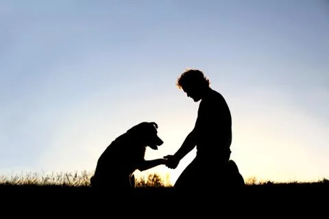 Silhouette of Man Shaking Hands with his Loyal Pet Dog Stock Photos