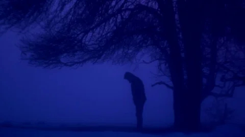 Silhouette of a man standing under the tree. Twilight fog winter time Stock-Footage 83577769