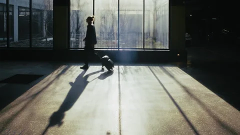 Silhouette of Man with Suitcase Walking Through Sunlit Parking Hall, Casting 스톡 동영상 335473816
