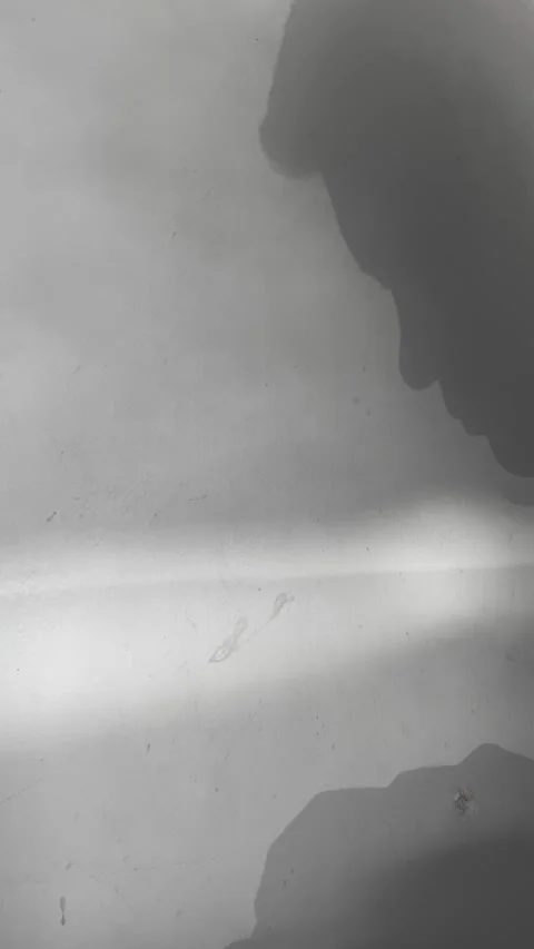 Silhouette of a man typing on a computer against a grey textured background Stock Footage 277230059