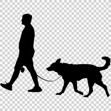 A silhouette of a man walking a dog Illustrazione stock
