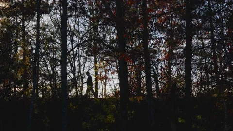 Silhouette of a man walking in the forest during sunset or sunrise. Stock Footage 168103133