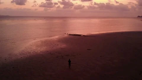 Silhouette Man Walking on Isolated Private Beach, Aerial View, Thailand Stock Footage 146563217