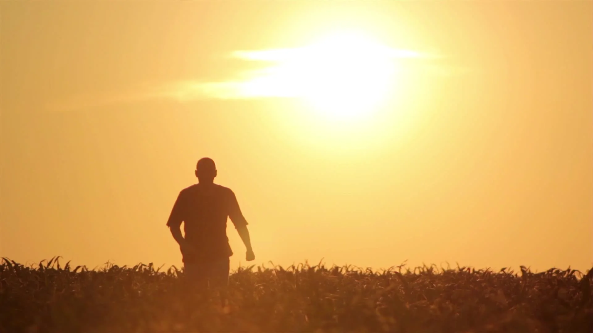 Man in Sun