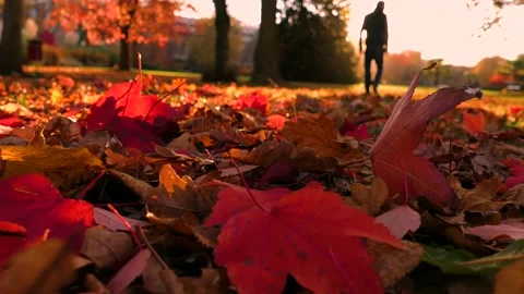 Silhouette of Man Walking Through Falling Autumn Leaves, 4K Stock-Footage 139160418
