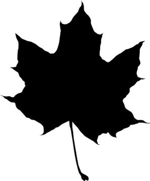 Silhouette of a maple leaf Stock Illustration