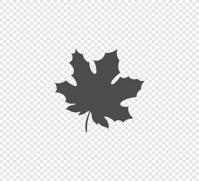 Silhouette of the maple leaf. Vector illustration Stock Illustration