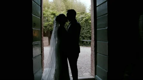 Silhouette of a married couple Vidéo 233079986