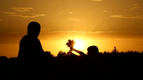 Silhouette, meeting, family Stock Footage