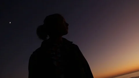 Silhouette with the moon Stock Footage 123202145