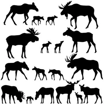Silhouette of moose Illustrazione stock