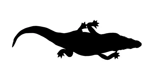 Silhouette of a moving crocodile. Alpha channel. Alpha matte. FullHD. Stock Footage