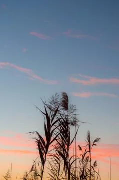 Silhouette at multicolored sunset Stock-Fotos