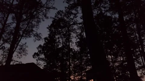 Silhouette natural landscape view of the pine tree against the sunset dark .. Stock Footage 245325866