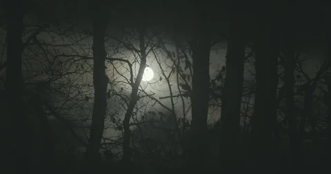 Silhouette of a night forest with moon and fast clouds (S-log2) Stock Footage