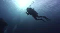 Silhouette of one scuba diver HD Footage