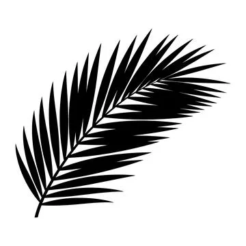 Silhouette of a palm leaf on white background Stock-Illustration