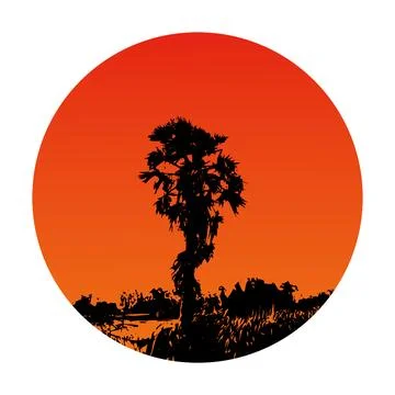 A silhouette of palm tree middle of the red sky sun Stock Illustration
