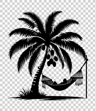 Silhouette of a palm tree vector 스톡 일러스트