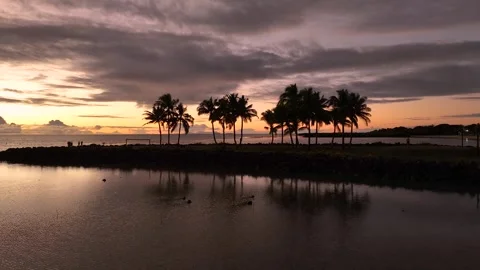 Silhouette of palm trees against the backdrop of a colorful tropical sunset sky Stock Footage 297994857