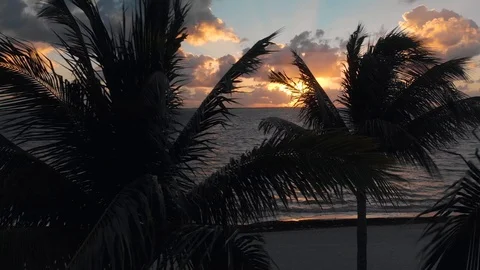 Silhouette of palm trees blowing in the wind on a tropical beach at sunrise. 스톡 동영상 104091184