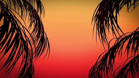 Silhouette Palm Trees Border Stock-Footage 236970443