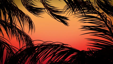 Silhouette Palm Trees Frame Stock Footage 236974334
