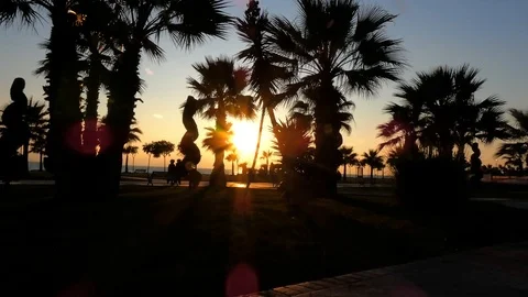 Silhouette of Palm Trees on Seaside Stock Footage 123767665