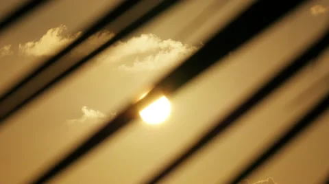 Silhouette of palm trees at sunset Video stock 50196256