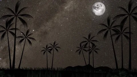Silhouette palm trees under starry night sky with moon motion background fo.. Stock Footage 334393230