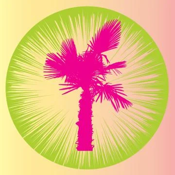 Silhouette of Palm Trees. Vector Illustration Illustrazione stock