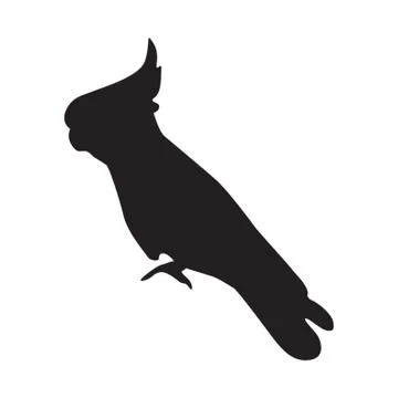Silhouette Of Parrot イラスト素材
