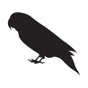 Silhouette Of Parrot Stock Illustration