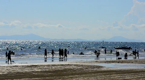 Silhouette People on the beach Video stock 40389923