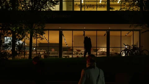 Silhouette of people hugging at night Stock Footage 219831752