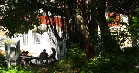 Silhouette of people under a tree Stock Footage 288633012